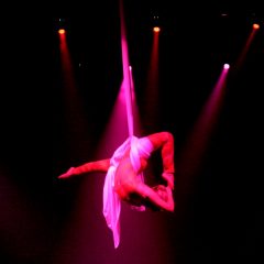 Dragonfly Aerial Company’s Fall Recital