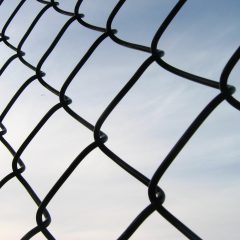 Call for Artists“Borders and Borderlines”Jan 30