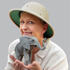 Elephants & Me